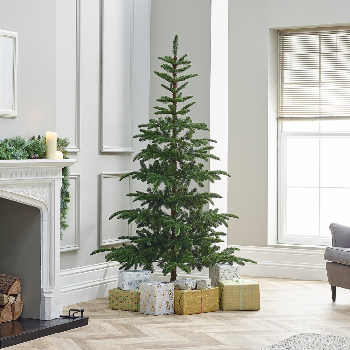 Nobilis Fir Green Christmas Tree