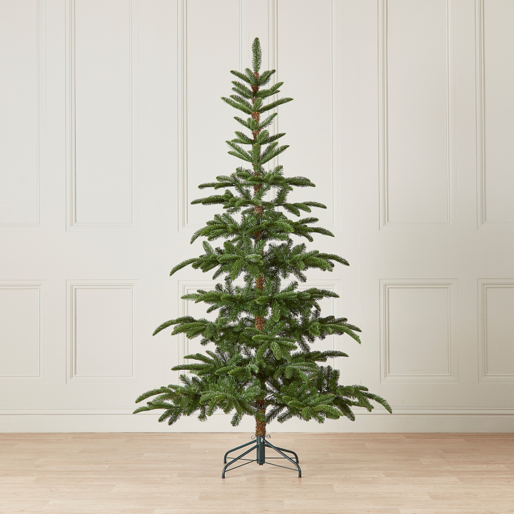 Nobilis Fir Green Christmas Tree