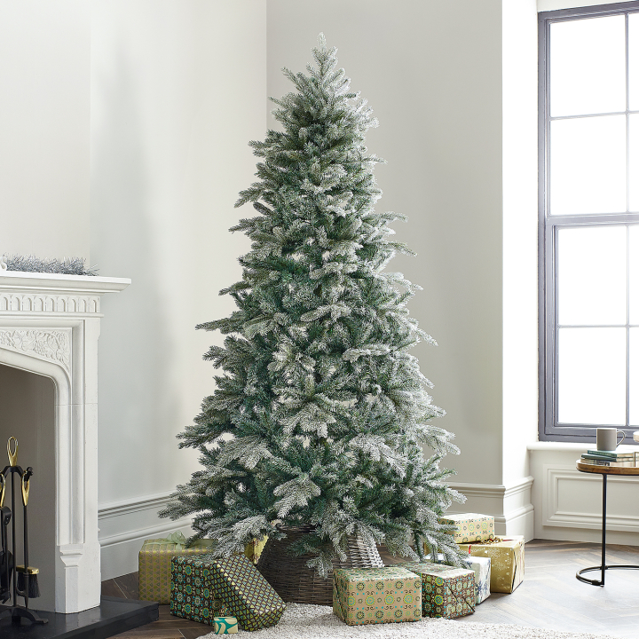 Sitka Spruce Green Frosted Christmas Tree