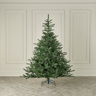 Colorado Spruce Green Christmas Tree