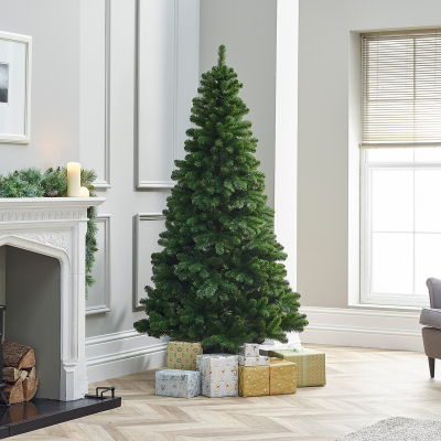 Balsam Fir Green Christmas Tree