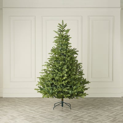 Englemanns Spruce Green Christmas Tree