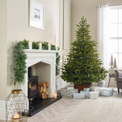 7ft Englemanns Spruce Green Christmas Tree (210cm)