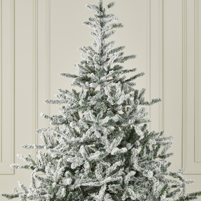 5ft Colorado Spruce Green Snowy Christmas Tree (150cm)