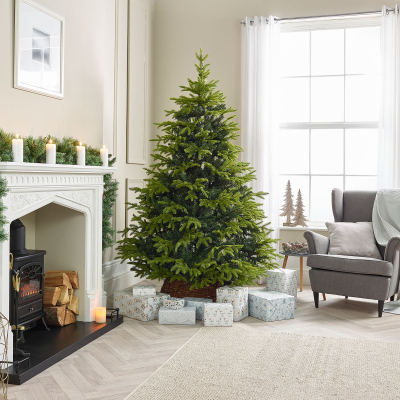 6ft Brewer Spruce Pre-Lit Green Christmas Tree (180cm)