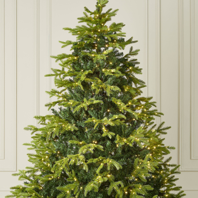 6ft Brewer Spruce Pre-Lit Green Christmas Tree (180cm)