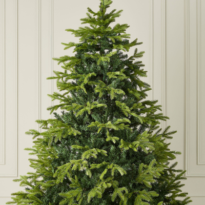 6ft Brewer Spruce Pre-Lit Green Christmas Tree (180cm)