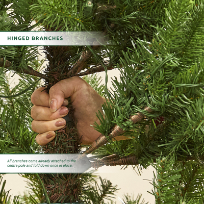 6ft Balsam Fir Green Christmas Tree (180cm)