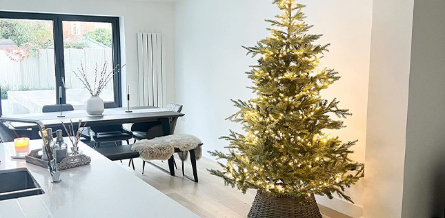 realistic green Christmas tree is dining room